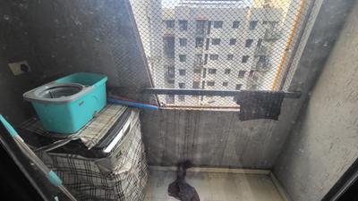 Balcony Image of 700 Sq.ft 1 BHK Apartment / Flat for rent in Lodha Lakeshore Greens, Palava Phase 2 Thane for Rs. 16000