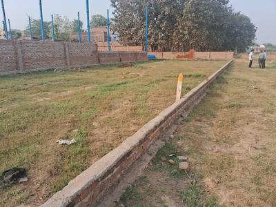 Bihta Plot View 3