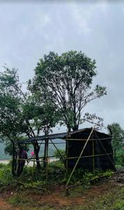 Image of 11000 Sq.ft Residential Plot / Land for sale in Velhe Bk., Pune for Rs. 2200000