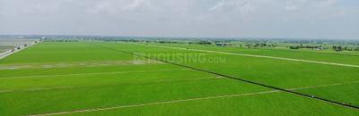 Sector 88 Plot View 1