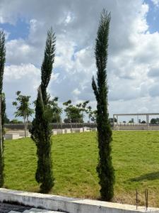 Image of 800 Sq.ft Residential Plot / Land for sale in Super Corridor, Indore for Rs. 2800000