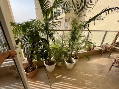 Balcony Image of 1752 Sq.ft 2 BHK Apartment / Flat for sale in DLF One Midtown, Karampura New Delhi for Rs. 42500000