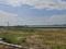 Muttukadu Plot View 2