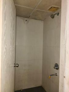 Common Bathroom Image of 585 Sq.ft 1 BHK Apartment / Flat for rent in Lodha Casa Rio by Lodha Group, Palava Phase 1 Thane for Rs. 13000