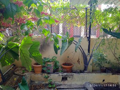 Balcony Image of 1200 Sq.ft 5 BHK Independent House for sale in Shiv Colony Dhule for Rs. 5000000