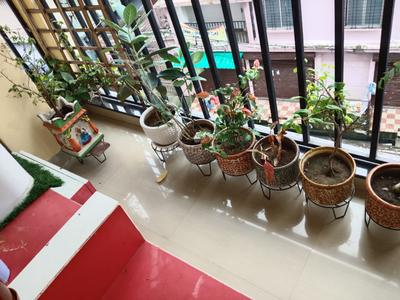 Balcony Image of 1460 Sq.ft 3 BHK Apartment / Flat for sale in Mahananda Para Siliguri for Rs. 5700000
