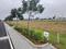 Vaipoor Main Image 1