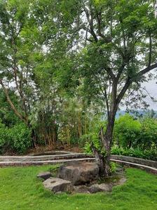 Image of 15000 Sq.ft 3 BHK Farm House for sale in Agalambe, Pune for Rs. 25000000