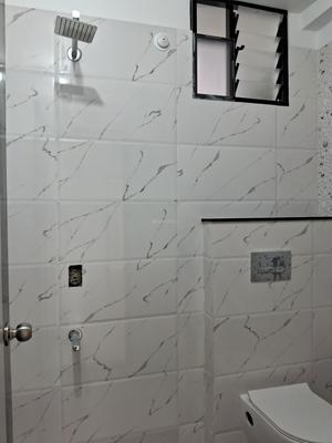 Bathroom Image of 1200 Sq.ft 2 BHK Apartment / Flat for rent in Bajaj G Heritage Phase III, Rajendra Nagar Indore for Rs. 22000
