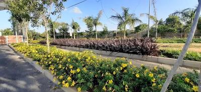 Image of 1199 Sq.ft Residential Plot / Land for sale in Shriram Eden 144 Phase 2, Devanahalli, Bengaluru for Rs. 11500000