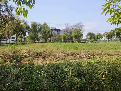JMS The Pride Plot View 1