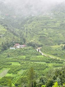 Image of 720 Sq.ft Residential Plot / Land for sale in Mukteshwar, Nainital for Rs. 7250000