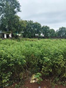 Image of 1000 Sq.ft Residential Plot / Land for sale in Vidhan Sabha Road, Raipur for Rs. 1325000
