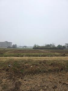 Image of 1361 Sq.ft Residential Plot / Land for sale in Shivala Par, Patna for Rs. 6500000