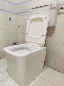 Bathroom Image of MIT Boys PG in Kothrud, Pune