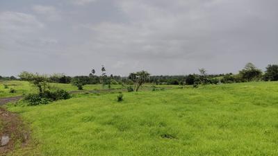 Image of 27225 Sq.ft Residential Plot / Land for sale in Murbad, Thane for Rs. 4250000