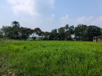 Image of 1080 Sq.ft Residential Plot / Land for sale in Natures Paradise, Joka, Kolkata for Rs. 225000