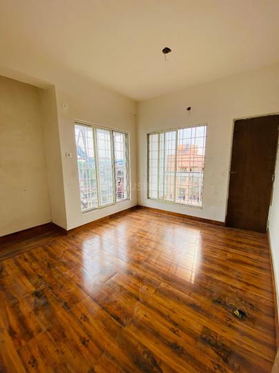 Dolphin Main Image 1