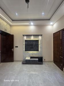 Hall Image of 2349 Sq.ft 4 BHK Independent House for sale in Sector 123 Mohali for Rs. 13500000