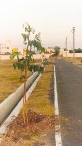 Image of 5106 Sq.ft Residential Plot / Land for sale in Neelambur, Coimbatore for Rs. 14600000
