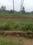 Uttara Main Image 1