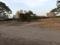 Sector 55 Plot View 2