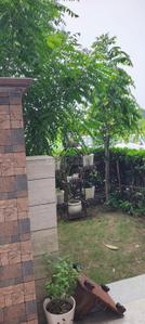 Image of 1125 Sq.ft 3.5 BHK Duplex for sale in Sector 114, Mohali for Rs. 16000000