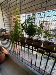 Balcony Image of 710 Sq.ft 1 BHK Apartment / Flat for sale in Rutu Riverview Classic, Kalyan West Kalyan for Rs. 4299000