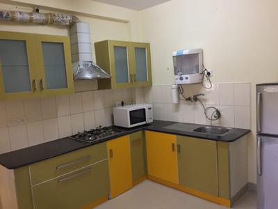 Kitchen Image of 1650 Sq.ft 3 BHK Apartment / Flat for rent in Kodambakkam Chennai for Rs. 50000