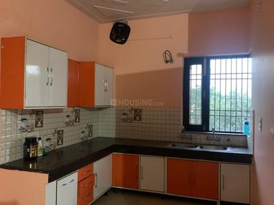 Kitchen Image of 1350 Sq.ft 2 BHK Builder Floor for rent in Sector 32A Ludhiana for Rs. 15500