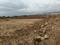 Ak Land developers Plot View 2