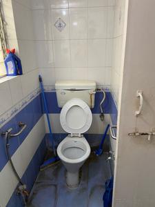 Bathroom Image of 900 Sq.ft 2 BHK Apartment / Flat for rent in Kumar Paritosh, Karve Nagar Pune for Rs. 25000
