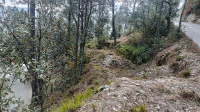 Image of 2160 Sq.ft Residential Plot / Land for sale in Mukteshwar, Nainital for Rs. 2500000