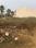 Unitech Green Wood City Plot View 2