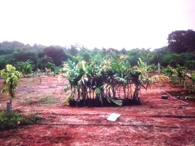 Image of 1089 Sq.ft Residential Plot / Land for sale in Belondakhar, Navi Mumbai for Rs. 328000