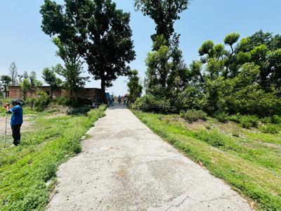Badasi Green Plot View 3