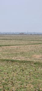 Image of 57600 Sq.ft Residential Plot / Land for sale in Santiniketan, Bolpur-Santiniketan for Rs. 40000000