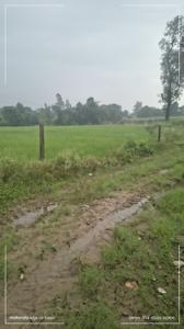 Image of 900 Sq.ft Residential Plot / Land for sale in Dharmawala, Dehradun for Rs. 3000000