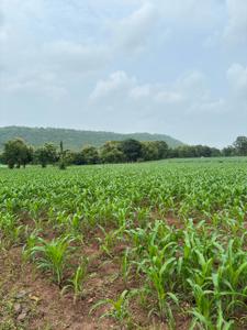 Image of 4000 Sq.ft Residential Plot / Land for sale in Simrol, Indore for Rs. 1200000