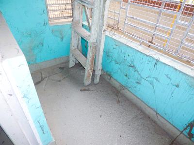 Balcony Image of 650 Sq.ft 2 BHK Apartment / Flat for sale in Dum Dum Cantonment Kolkata for Rs. 2000000
