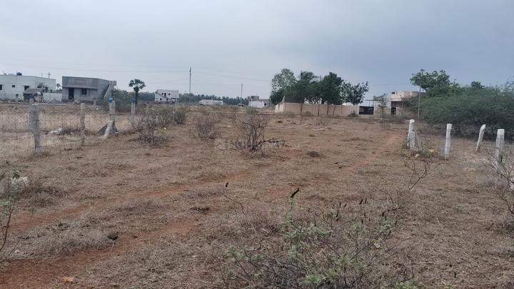 Ruban Samy Main Image 1