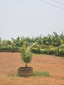 Image of 10000 Sq.ft Residential Plot / Land for sale in Kumhari, Bhilai for Rs. 6051000