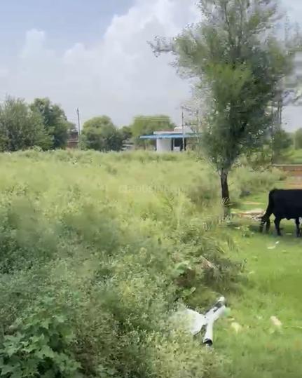 Gautam farms Main Image 1