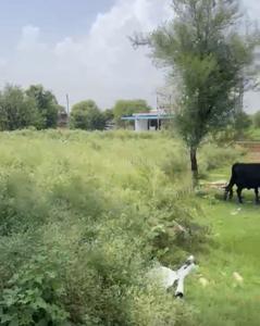 Gautam farms Plot View 1