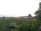 Kulberia Main Image 1