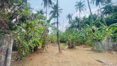 Image of 7405 Sq.ft Residential Plot / Land for sale in Chiyyaram, Thrissur for Rs. 12750000