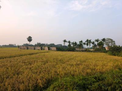Image of 720 Sq.ft Residential Plot / Land for sale in New Town, Kolkata for Rs. 1235600