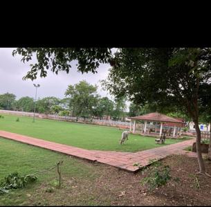 Image of 200 Sq.ft Residential Plot / Land for sale in Gamma II, Greater Noida for Rs. 30000000