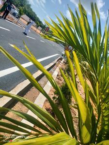 Image of 1200 Sq.ft Residential Plot / Land for sale in Ananthapuram, Chennai for Rs. 1860000