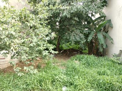 Karuna Kunj Plot View 2